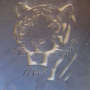 WCSM - Tiger